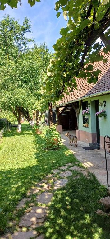 a cat walking in a yard next to a house at Valchid Guest House in Valchid