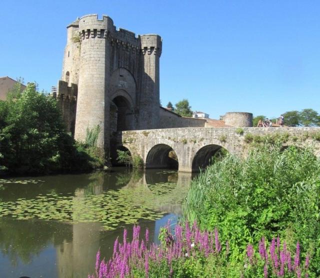 a castle and a bridge over a river with flowers at Studio aux portes de Parthenay in Châtillon-sur-Thouet