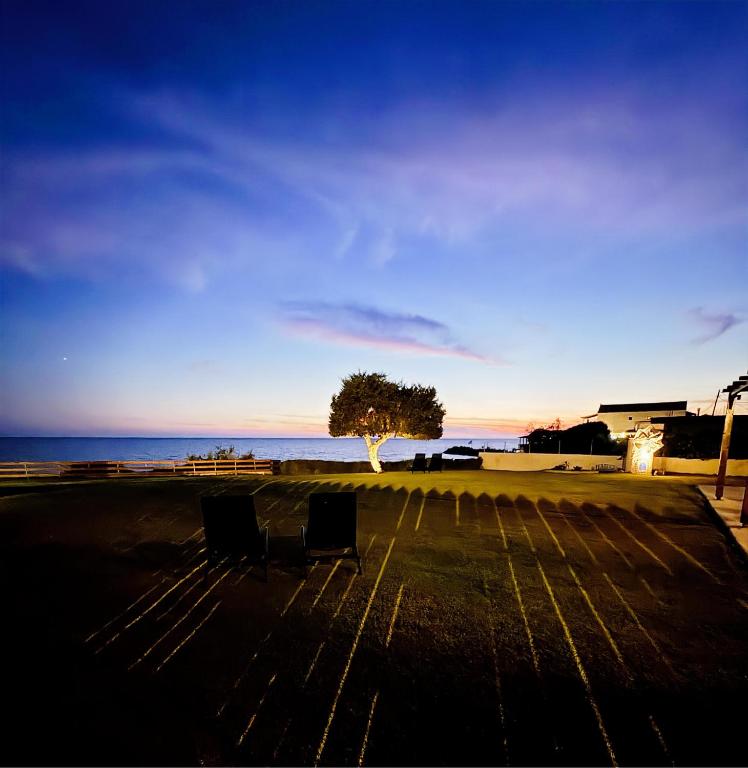 a park with two benches and a tree in front of the ocean at Cedrus-Seafront Ionian Stay in Agios Georgios