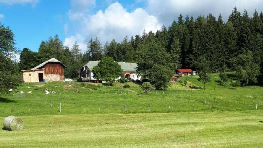 a farm with a barn and a field of green grass at Landhof Steinhütte in Bayerisch Eisenstein