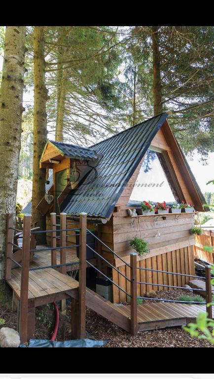a large wooden house with a pitched roof at la marmotte in Granges-Aumontzey