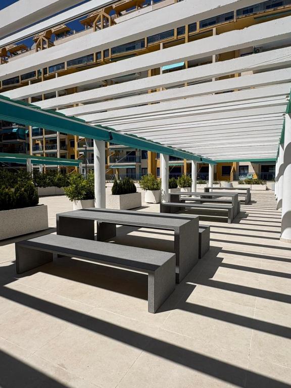 Devesa Park - Three-Bedroom Apartment