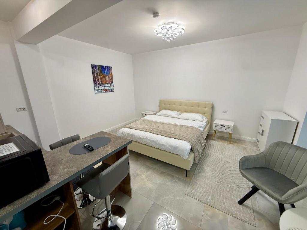 a bedroom with a bed and a desk and a chair at visitor's house 5 in Rădăuţi