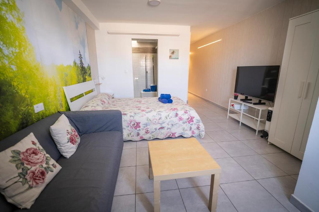 a living room with a couch and a bed at Edificio Prieto VIV 7 in Puerto del Rosario