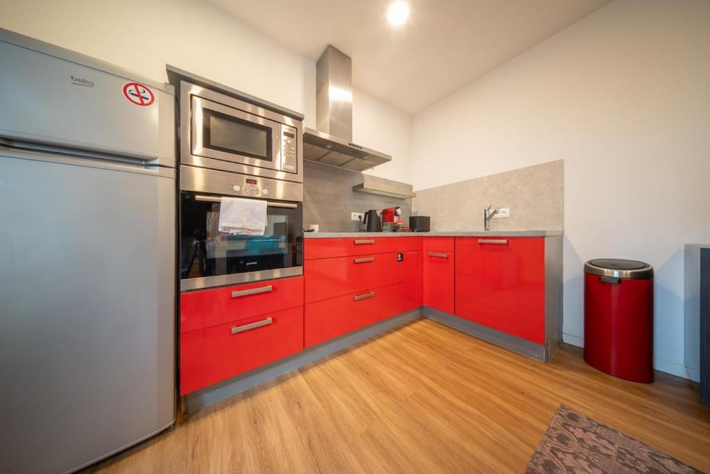 Le Big Red Triplex Near Basel en Hyper Centre – photo 10
