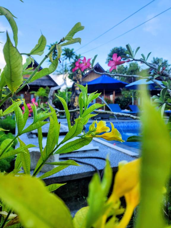 a view of a garden with flowers and umbrellas at RR Cottage in Nusa Penida