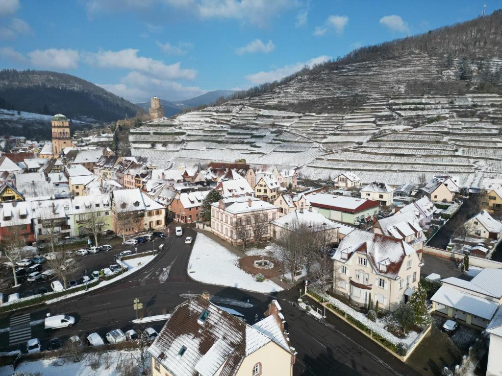 Maison des Vignes – photo 19