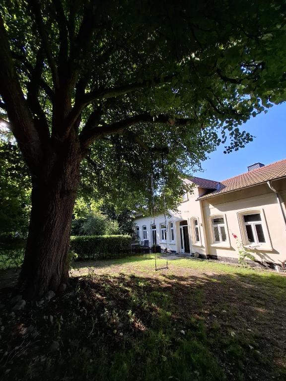 a large tree in front of a house at Ferienwohnung Zeit für Meer in Kruså