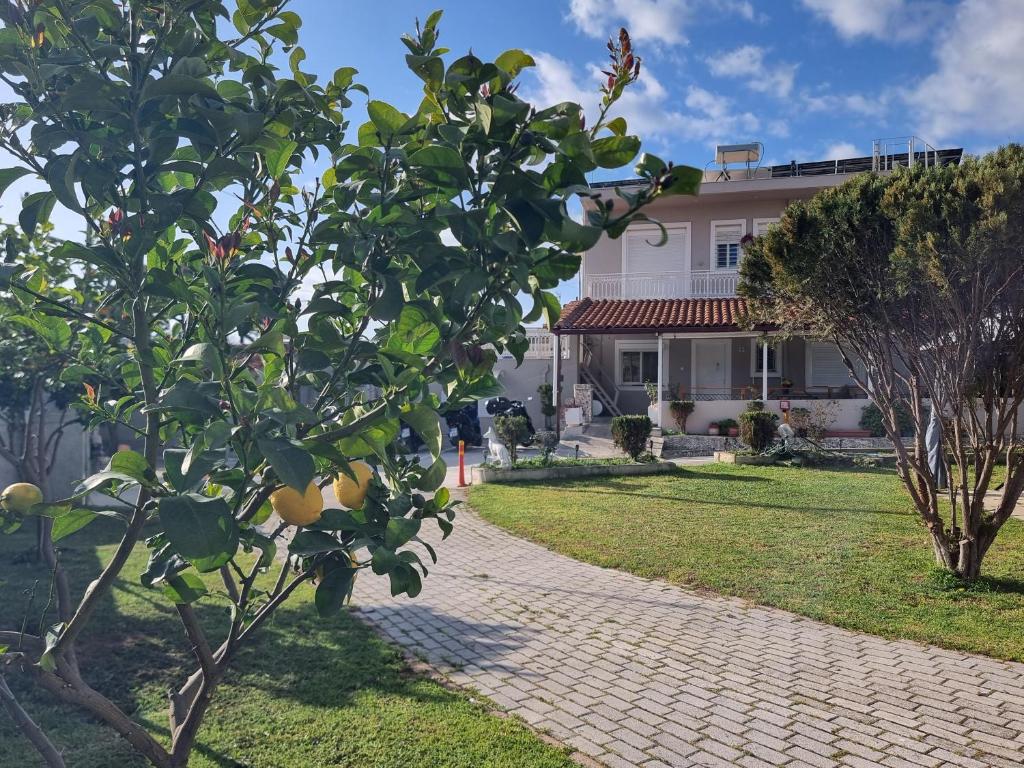 a house with a lemon tree in front of it at Isthmus Filoxenia in Isthmia