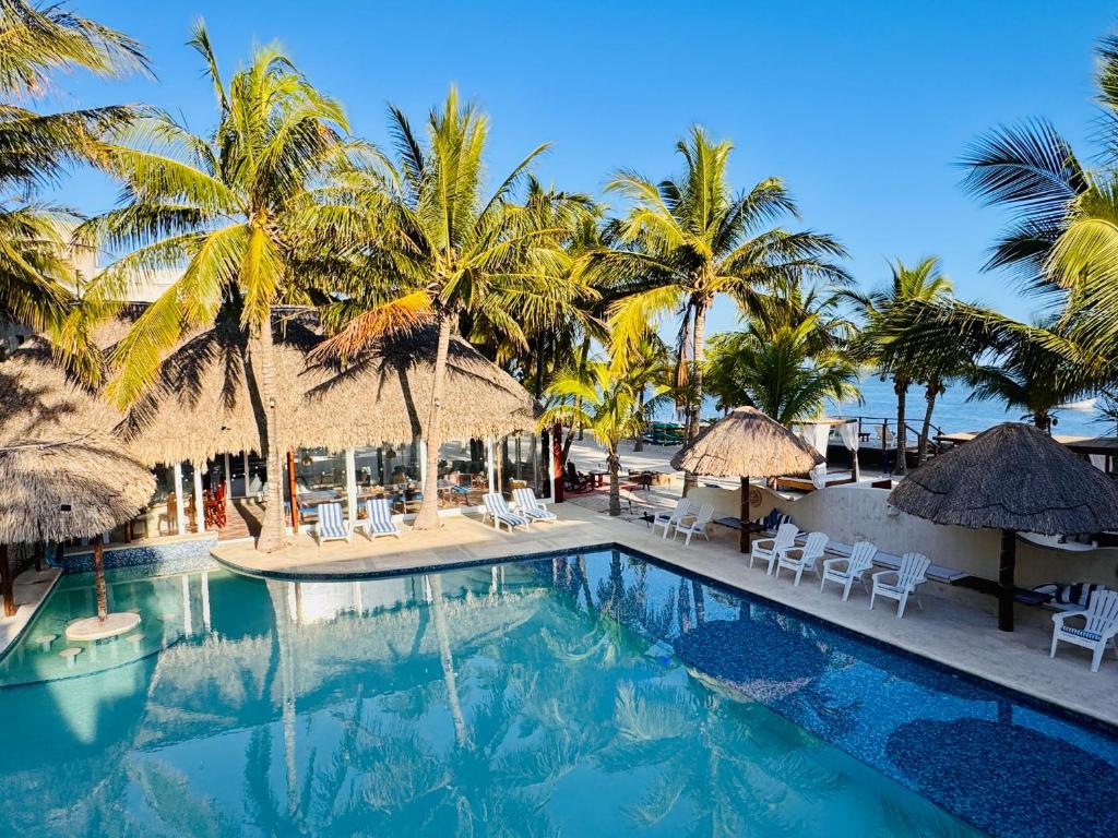 a pool at a resort with palm trees and chairs at Jaguar Club & Casitas in Santa Clara