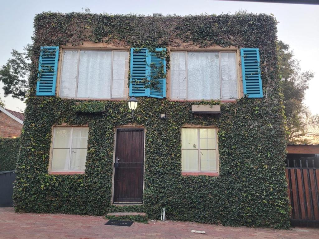 a building covered in ivy with blue shutters and a door at Dream Big Bougainvillea 2 bedroom cottage in Centurion