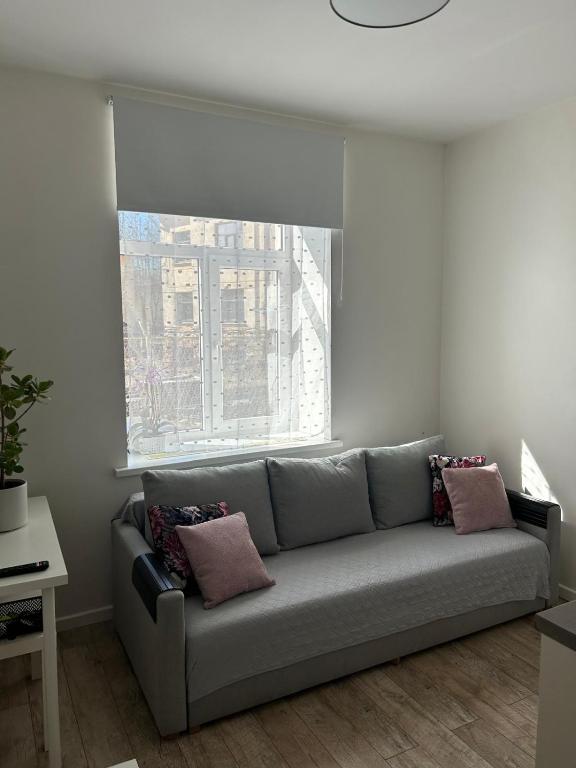 a gray couch in a living room with a window at Northern Lights small apartment A at Emmas Street 28, Riga in Riga