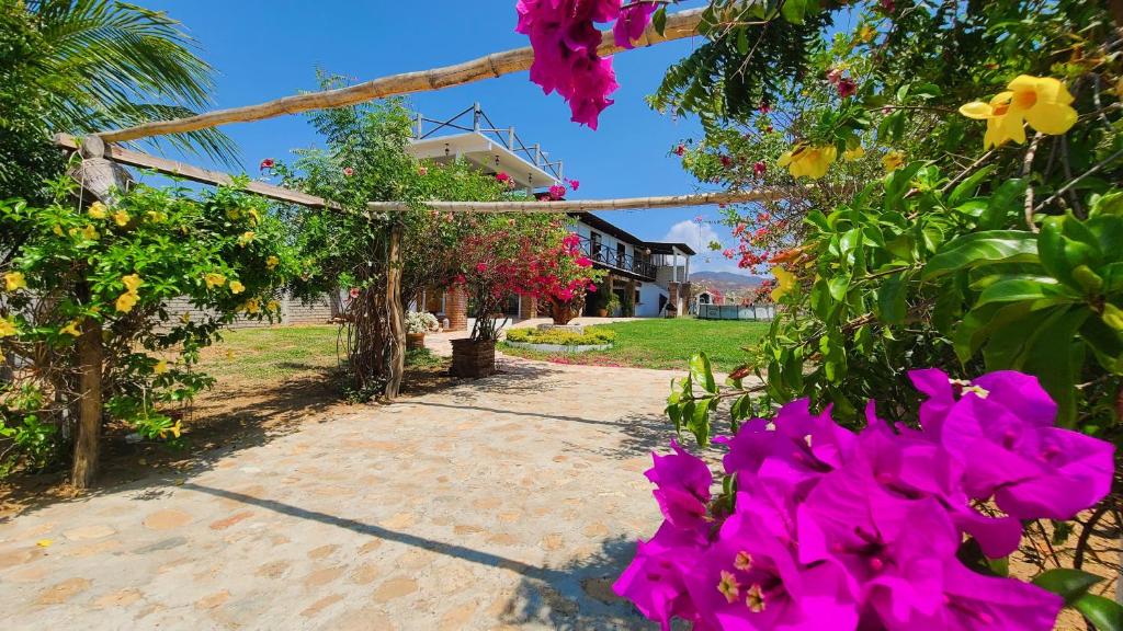 a garden with pink flowers in front of a building at Casa Bugambilia in Paso Hondo