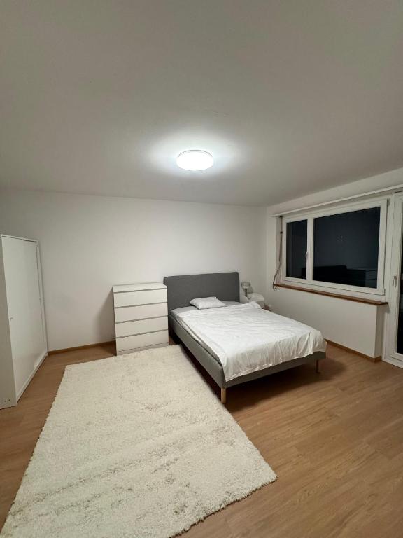 Ready-to-move-in & Furnished Studio in Zurich - Ideal for Longterm Stays