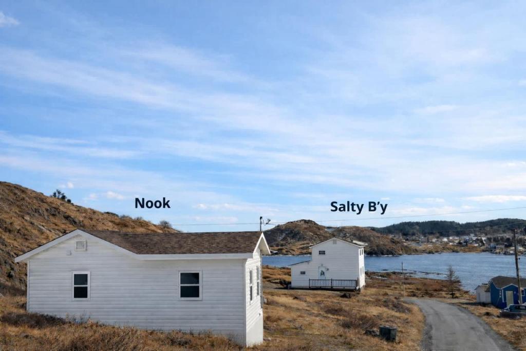 a house in a field next to a road at Salty B'y & Nook in Twillingate