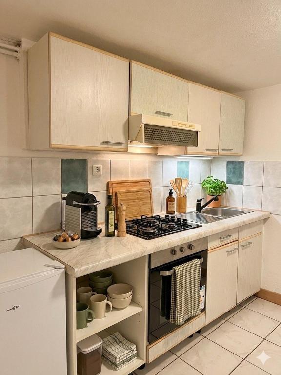 Studio Maison de Maître, Parking sur Place privé Free, MULHOUSE CENTRE – photo 5