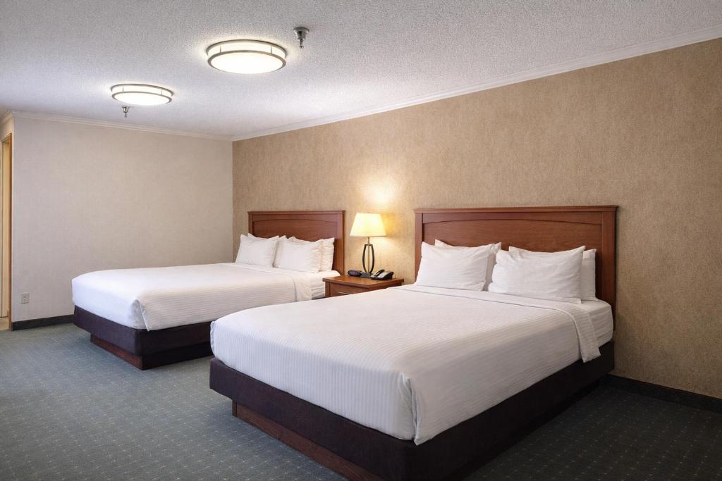 Best Western Davison Inn - Suite Queen Con Bar Con Fregadero