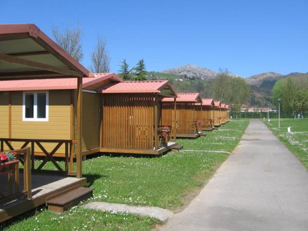 una fila de cabañas están alineadas en el césped en Camping Sella, en Arriondas