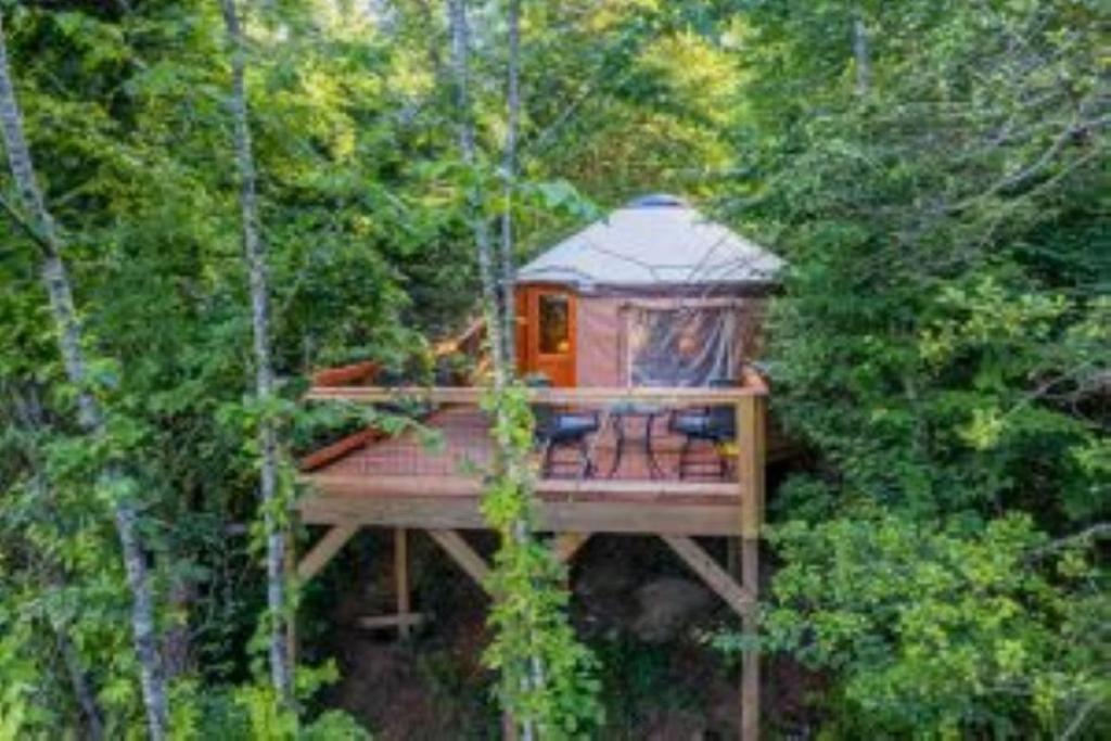 a tree house in the middle of the forest at Holly Hideaway in Cullowhee