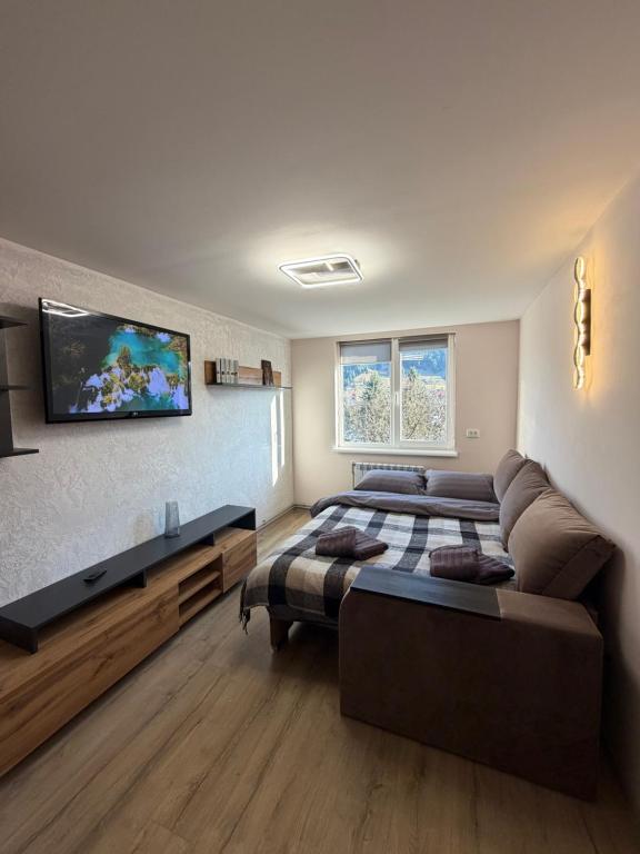 a living room with a couch and a flat screen tv at U-Home in Verkhovyna