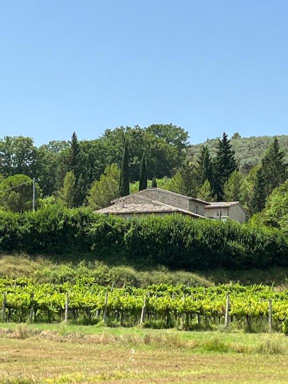 a farm house in the middle of a field at Antico Casale Mevania in Bevagna