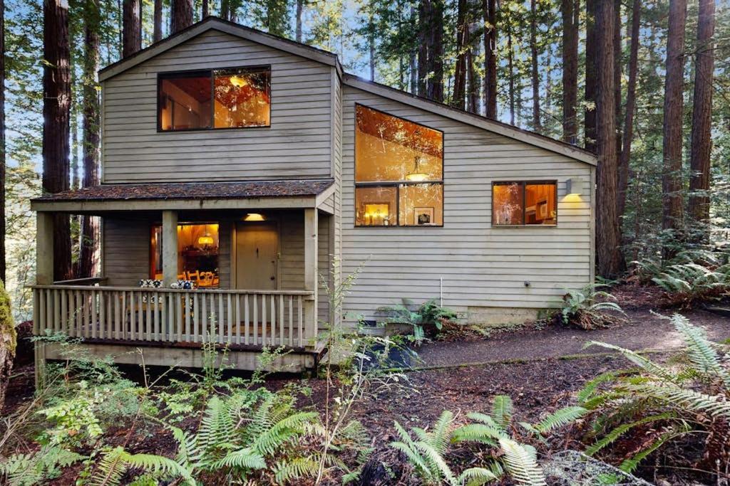 a small house in the middle of a forest at Deep Woods Hideaway in Annapolis