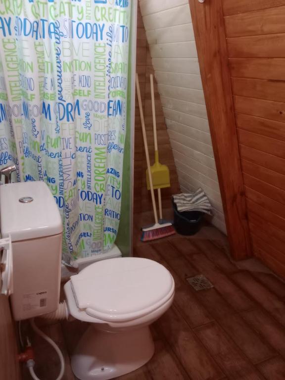 a bathroom with a toilet and a shower curtain at Puerto Ballena in Las Toninas