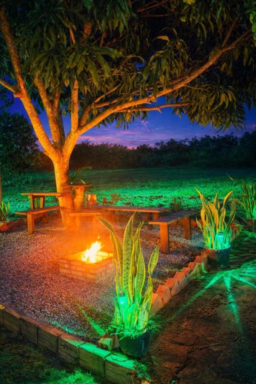 a fire pit in a park with a tree and a bench at Chácara Sossego in Viçosa do Ceará