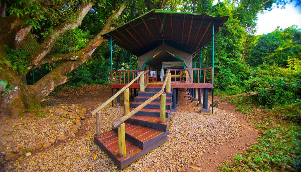 ein kleiner Spielplatz mit Holzstruktur neben einem Baum in der Unterkunft Mbali Mbali Gombe Lodge in Kasekera