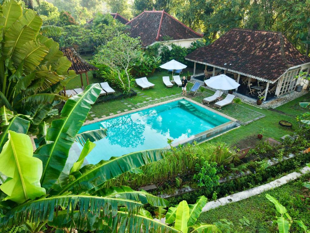 an aerial view of a swimming pool in a garden at Blauwtuin Yogyakarta in Yogyakarta