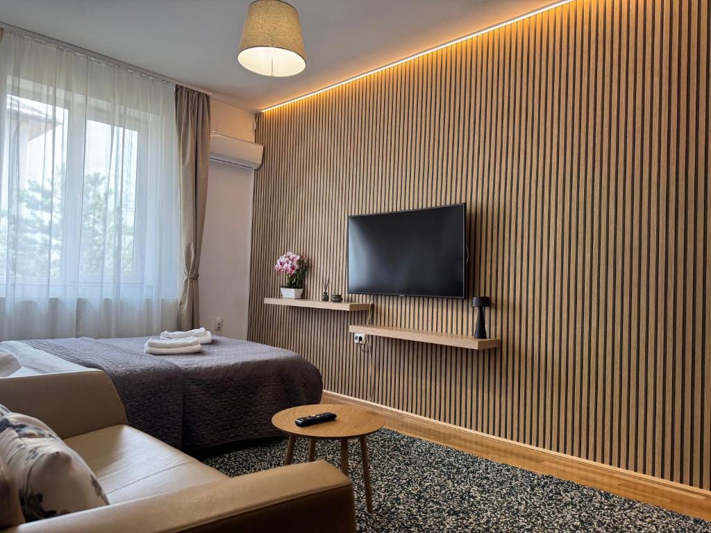 a living room with a couch and a tv on a wall at Bucharest Airport Stay & Fly in Otopeni