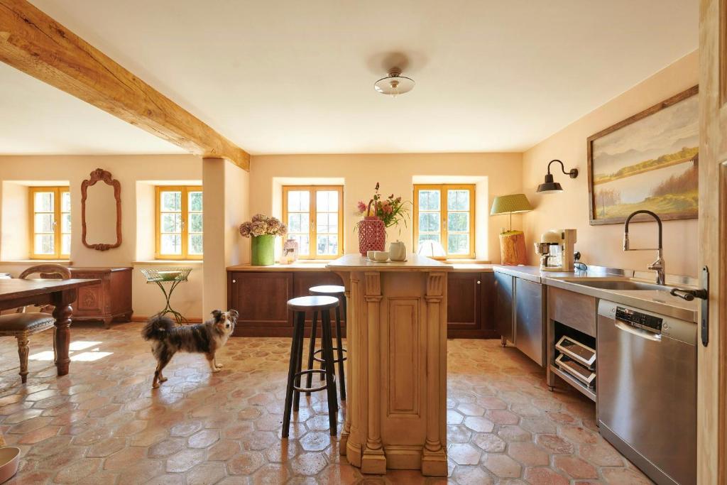 a kitchen with a dog standing in the middle at A Historic Gem With Wellness Comfort in Übersee