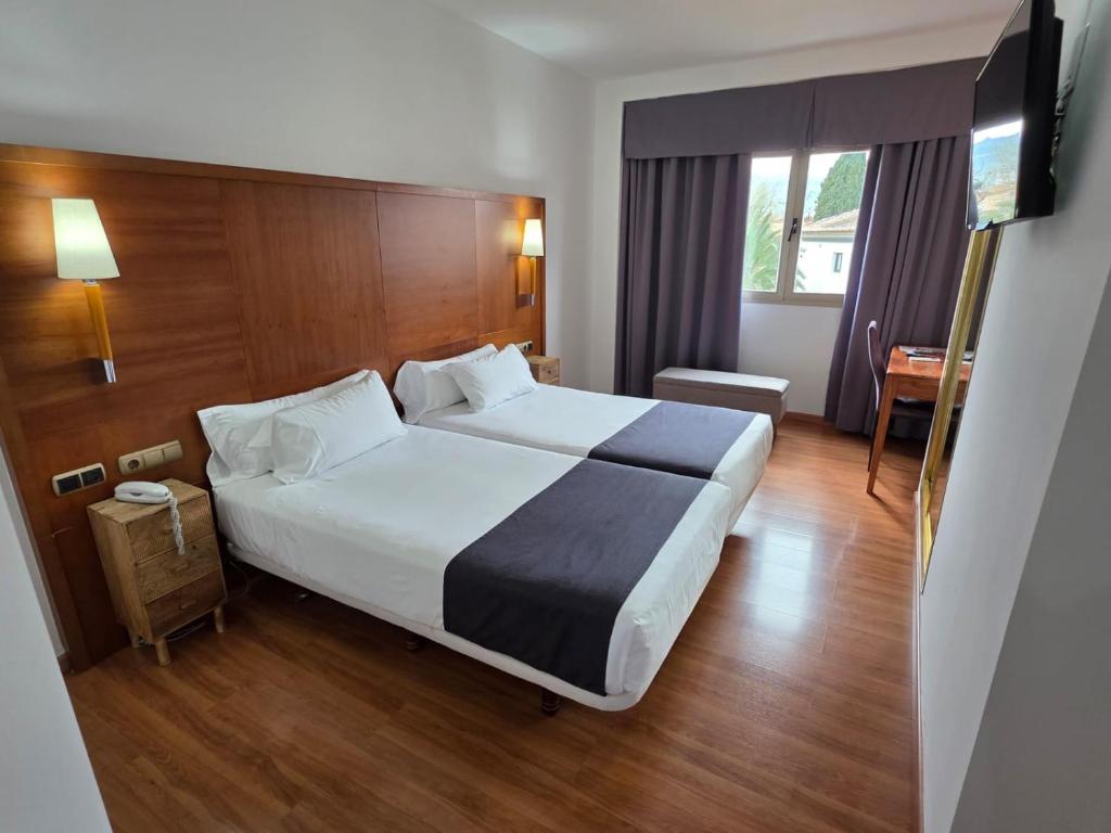 a bedroom with a large bed in a hotel room at Hotel Saylu in Granada