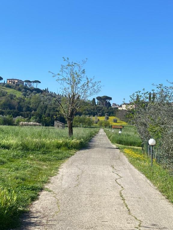 La camera nel verde