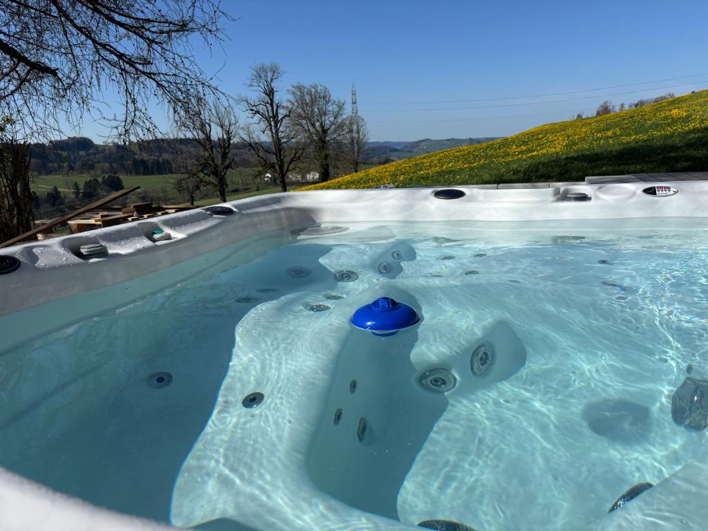 a jacuzzi plunge pool with a blue ball in it at Maison chez Louis in Asuel