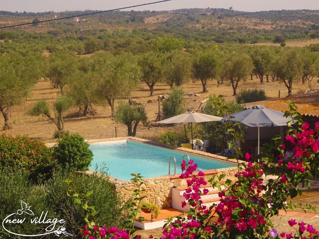 a swimming pool in a garden with flowers at New Village in Vila Nova da Baronia