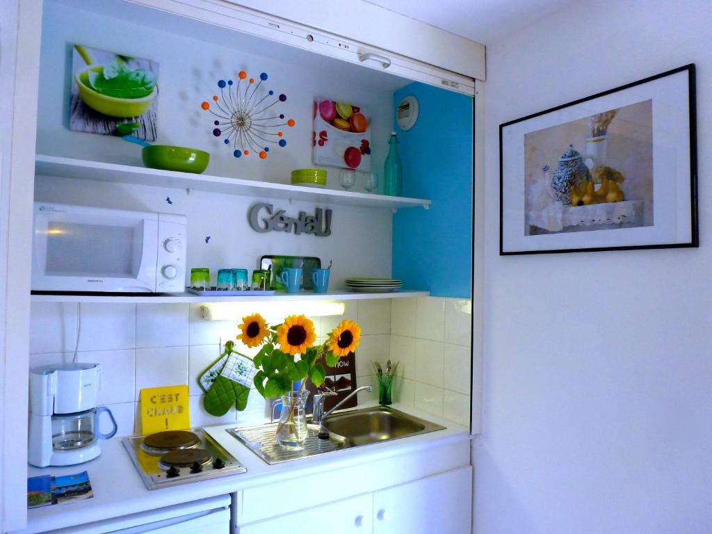 A cozinha ou cozinha compacta de Studios Nice French Riviera