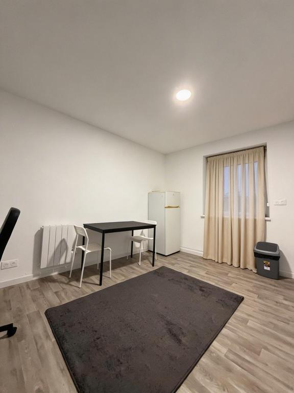 Deluxe Renovated Apartment, Comfort & Style in MULHOUSE CITY Center – photo 4