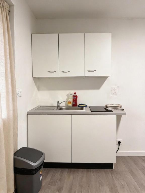 Deluxe Renovated Apartment, Comfort & Style in MULHOUSE CITY Center – photo 7