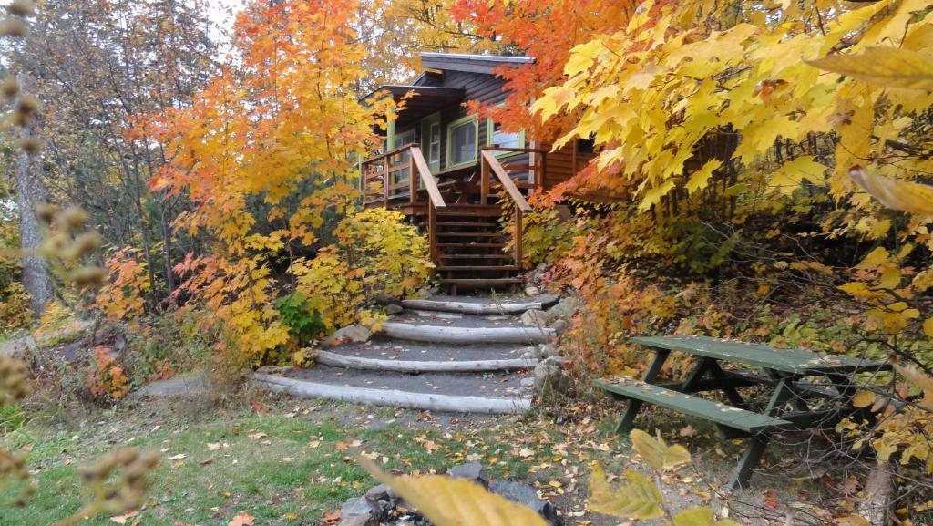 a stairway leading up to a cabin with autumn leaves at Chalets Aux Berges du Lac Castor in Saint-Paulin