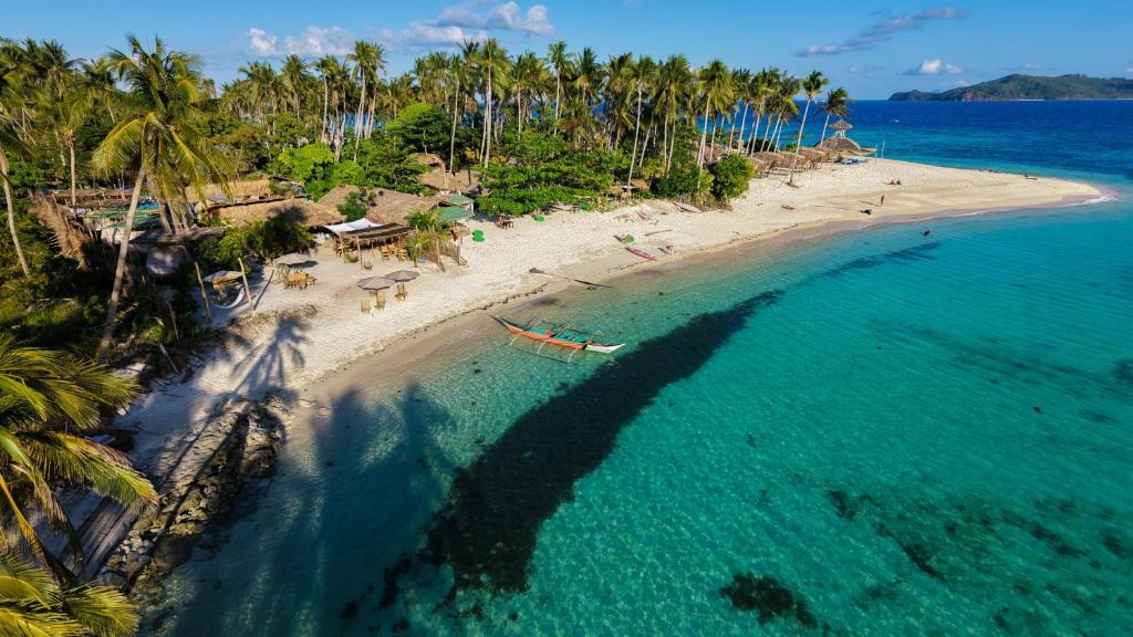 Luftaufnahme eines Strandes mit Palmen in der Unterkunft Camp Laya Daracoton Island in El Nido