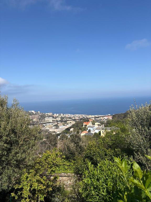 a view of a town with the ocean in the background at Appartement Bastia Cardo Village in Bastia