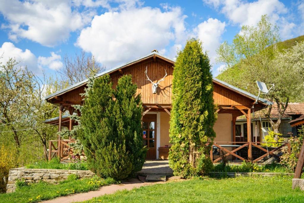 a house with a green roof at Casa Coasta Tare in Trăisteni