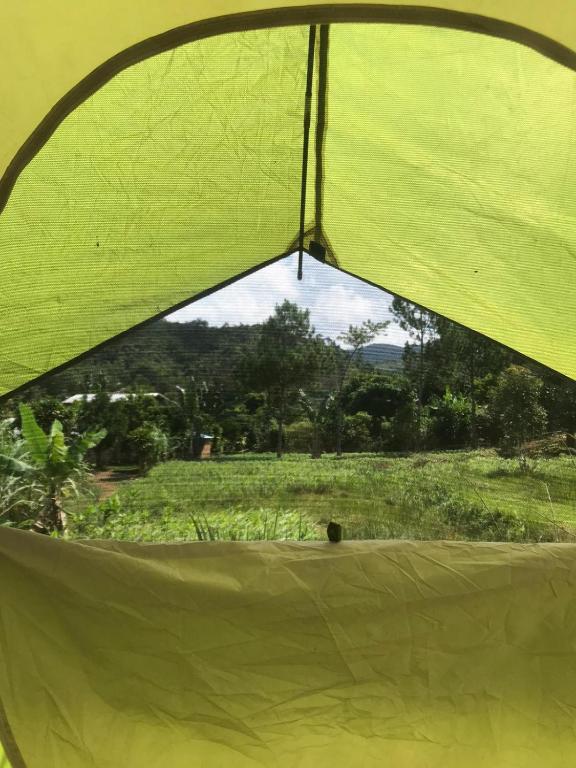 a view of a field from inside a tent at Minerva Garden Camping in Ranomafana