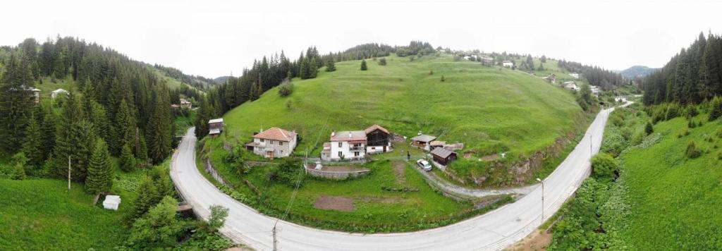 a house on a green hill with a road at Къща Ники in Stoykite