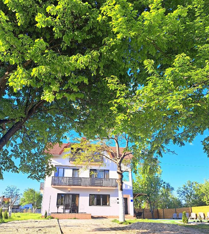 a white house with a tree in front of it at Apartments Villa Mavi Plitvice in Drežnik Grad