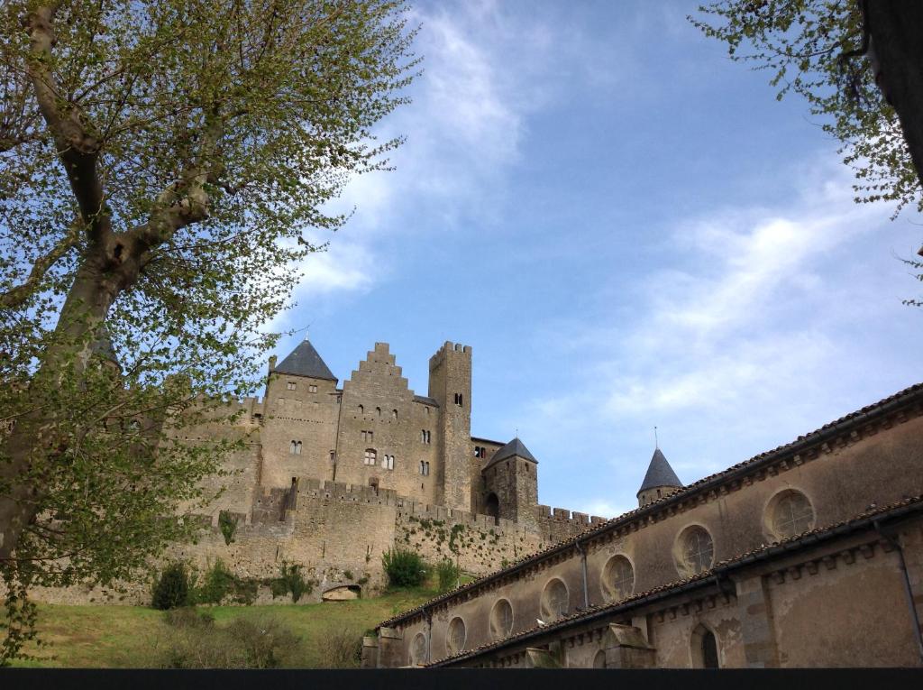 un grand château au sommet d'une colline dans l'établissement Cité Park, à Carcassonne