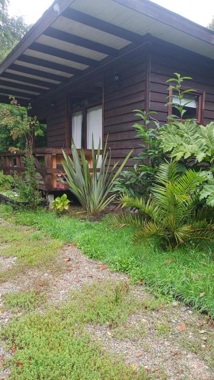 a wooden house with a porch and some plants at Ruca del Fuy in Panguipulli