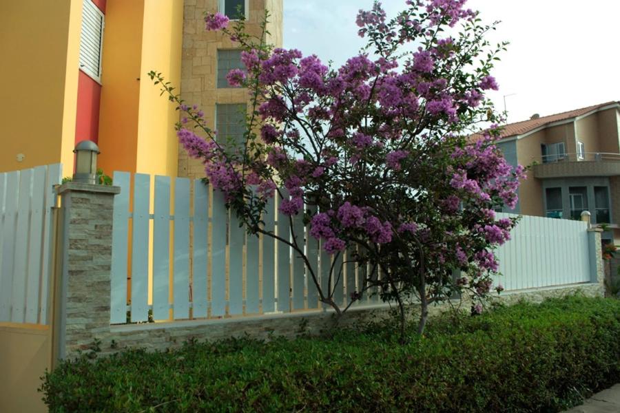 a tree with purple flowers in front of a fence at Flat Mimmo in Praia