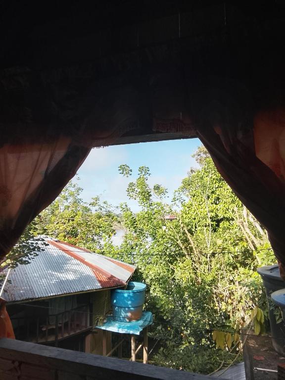 hospedaje Casa Jaguar